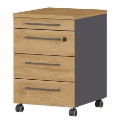 Caisson à Roulettes GW-Agenda