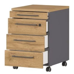 Caisson à Roulettes GW-Agenda -Magasin de meubles 1000210641 200408 14212600033 DETAILS P000000001000210641