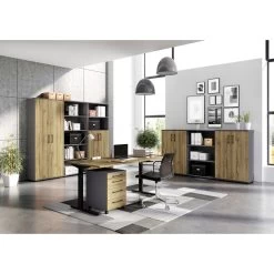 Armoire De Bureau GW-Profi 2.0 II -Magasin de meubles 1000222872 200821 11194400062 MOOD DETAILS P000000001000222872 mood