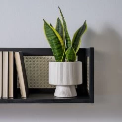 Étagère Murale CANEE -Magasin de meubles 1000242158 230328 022 MOOD DETAILS P000000001000242158 mood