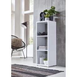 Étagère Nernier III -Magasin de meubles 1000248610 210318 08342100015 MOOD DETAILS P000000001000248610 mood