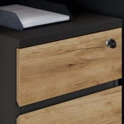 Caisson De Bureau GW-Lisbonne -Magasin de meubles 1000353358 220520 040 DETAILS P000000001000353358