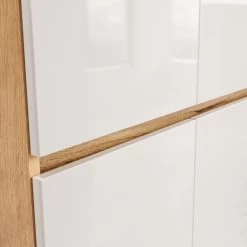 Armoire D’entrée Calvera -Magasin de meubles 1000367310 221005 032 DETAILS P000000001000367310