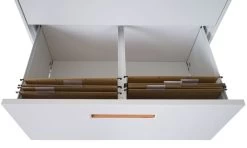 Armoire à Dossiers Suspendus HWC-A10 -Magasin de meubles 71310a94c9a442b8adec28feae5d7709